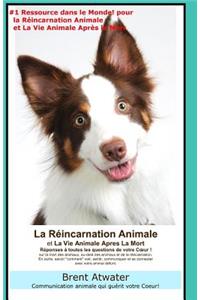 Reincarnation Animales et La Vie Animale Apres La Mort: Reponses a toutes les Questions de votre Coeur!