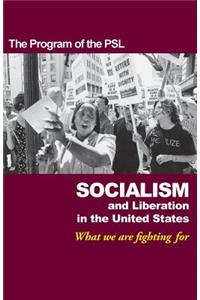 Socialism and Liberation in the United States