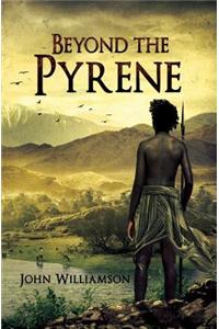 Beyond The Pyrene