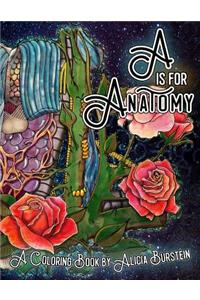 A is for Anatomy