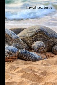 hawaii sea turtle