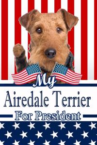 My Airedale Terrier for President
