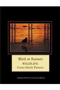 Bird at Sunset