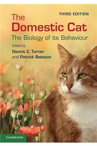 Domestic Cat