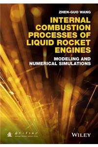 Internal Combustion Processes of Liquid Rocket Engines