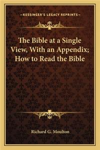 The Bible at a Single View, with an Appendix; How to Read the Bible