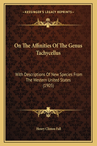 On The Affinities Of The Genus Tachycellus