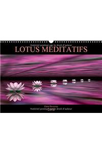 LOTUS MEDITATIFS 2018