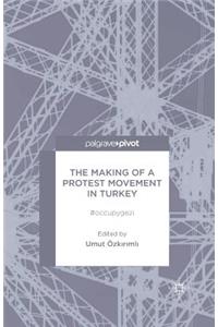 Making of a Protest Movement in Turkey