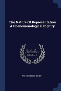 The Nature Of Representation A Phenomenological Inquiry