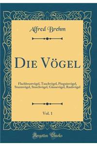 Die VÃ¶gel, Vol. 1: FlachbrustvÃ¶gel, TauchvÃ¶gel, PinguinvÃ¶gel, SturmvÃ¶gel, StorchvÃ¶gel, GÃ¤nsevÃ¶gel, RaubvÃ¶gel (Classic Reprint)