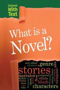 What is a Novel?