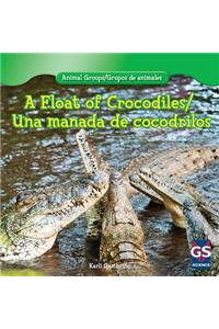 A Float of Crocodiles/Una Manada de Cocodrilos