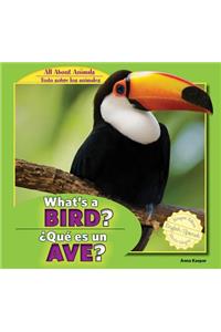 What's a Bird? / ¿Qué Es Un Ave?