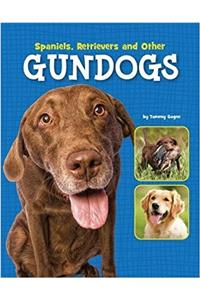 Spaniels, Retrievers and Other Gundogs