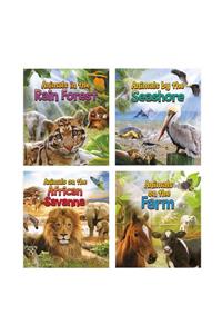 Animals All Day!