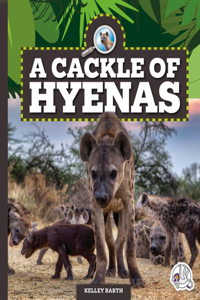 Cackle of Hyenas