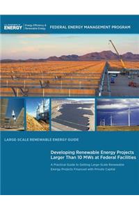 Large-Scale Renewable Energy Guide