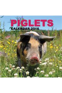 Piglets Calendar 2016