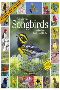 Audubon Songbirds And Other Backyard Birds Picture-A-Day® Wall Calendar 2026