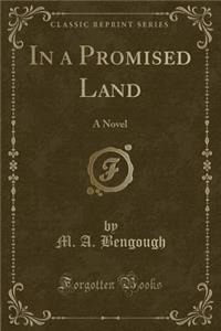 In a Promised Land: A Novel (Classic Reprint)