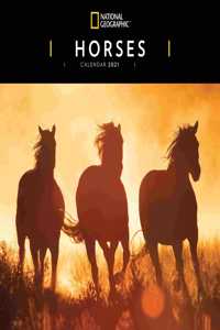 HORSES NATIONAL GEOGRAPHIC SQUARE WALL C