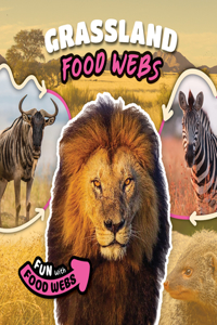 Grassland Food Webs