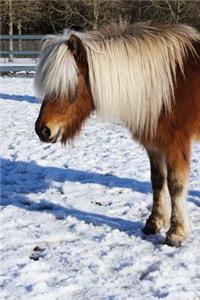 Icelandic Horse Journal