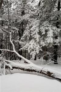 Journal Snowstorm Winter Day Photography