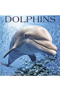 Dolphins 2019 Wall Calendar