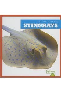 Stingrays