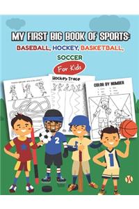 My first Big Book of Sports