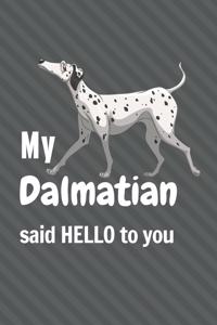 My Dalmatian said HELLO to you