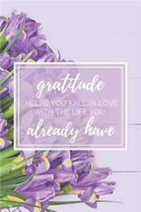 Gratitude Helps You Fall In Love With The Life You Already Have