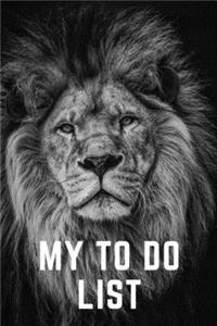 My To Do List