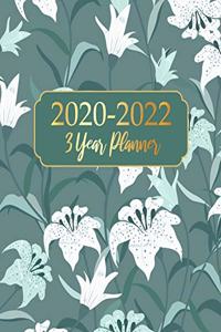 2020-2022 3 Year Planner