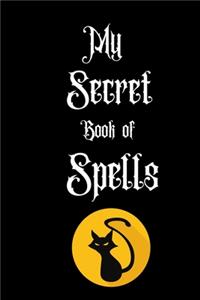 My Secret Book of Spells