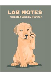 Blank Undated Weekly Planner