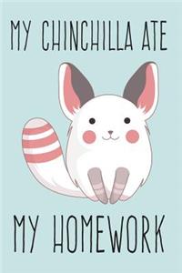 My Chinchilla Ate My Homework