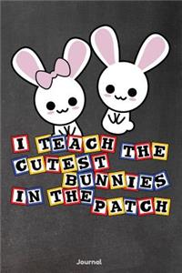 I Teach the Cutest Bunnies in the Patch