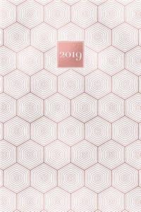 2019