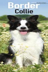 Border Collie Slim Calendar 2019