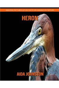 Heron: Amazing Pictures & Fun Facts on Animals in Nature