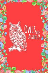 Owls Are Assholes Journal Notebook