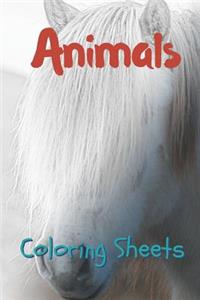 Animals Coloring Sheets