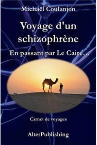 Voyage d'un schizophrène