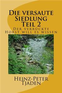 Die versaute Siedlung Teil 2