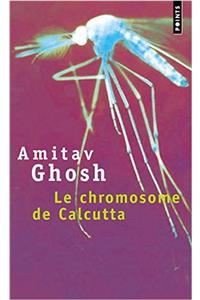 Chromosome de Calcutta(le)