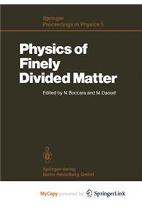 Physics of Finely Divided Matter