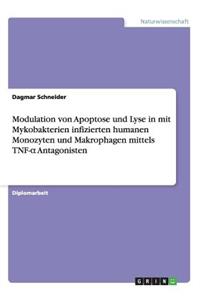 Modulation von Apoptose und Lyse in mit Mykobakterien infizierten humanen Monozyten und Makrophagen mittels TNF-α Antagonisten